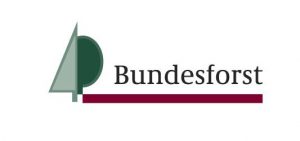 Bundesforst » Baumservice Schwielowsee