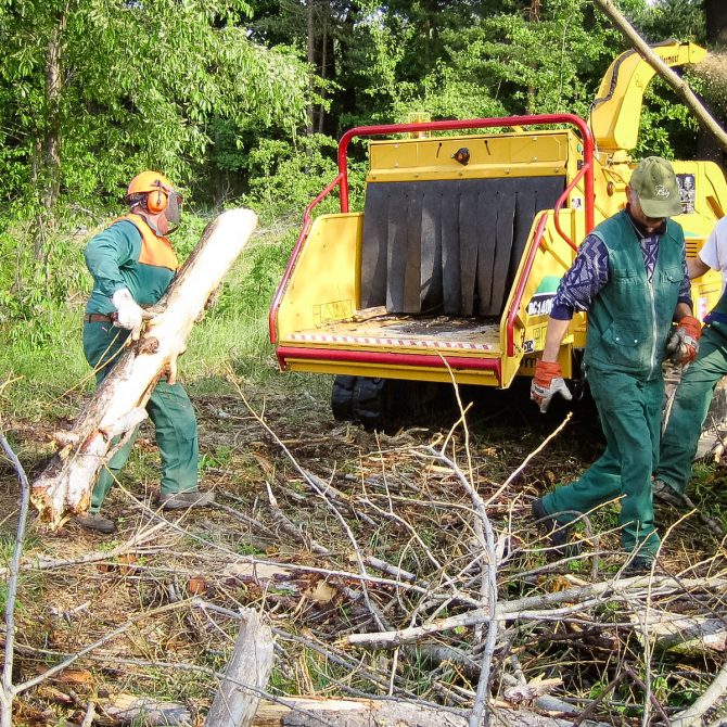 Baufeldberäumung » Baumservice Schwielowsee