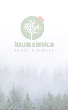 Uwe Paul » Baumservice Schwielowsee